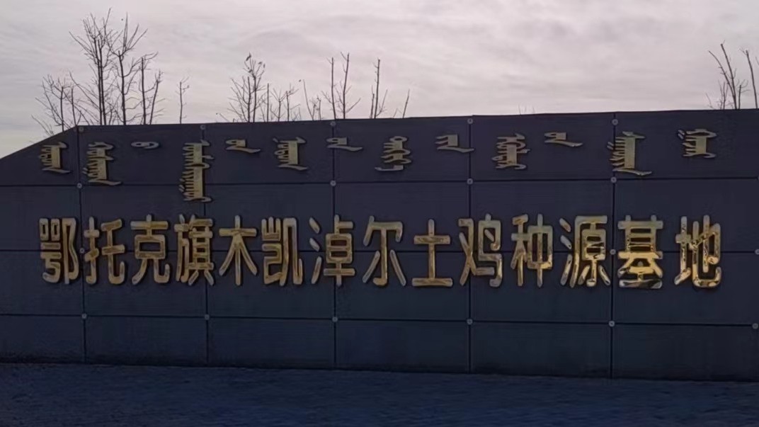 內(nèi)蒙古鄂托克旗木凱淖爾蛋雞養(yǎng)殖項(xiàng)目