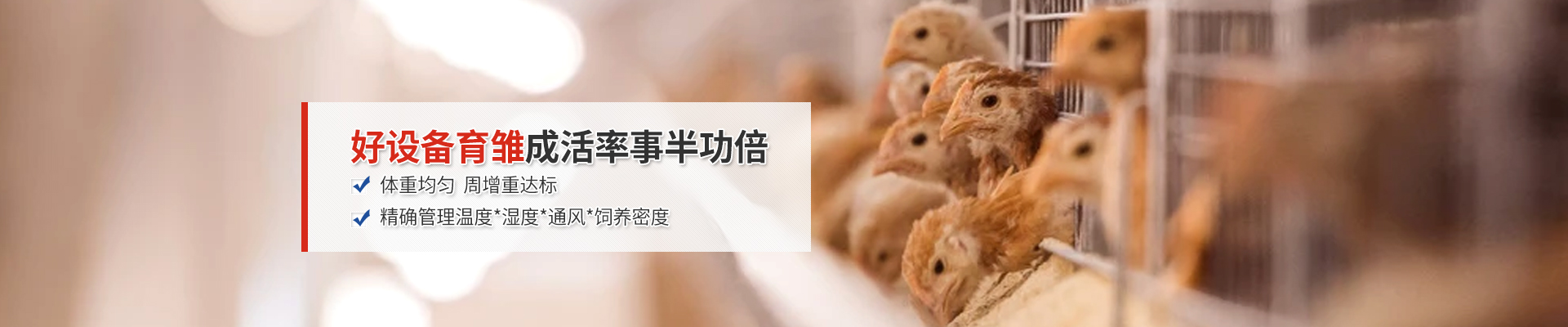 好設(shè)備育雛成活率事半功倍