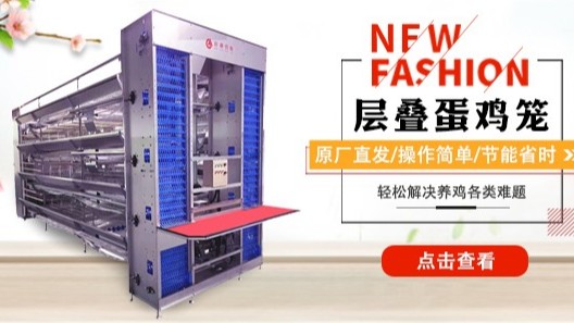 大變局下蛋雞養(yǎng)殖如何勝出？遠(yuǎn)卓農(nóng)牧為蛋雞養(yǎng)殖產(chǎn)業(yè)發(fā)展聚勢賦能