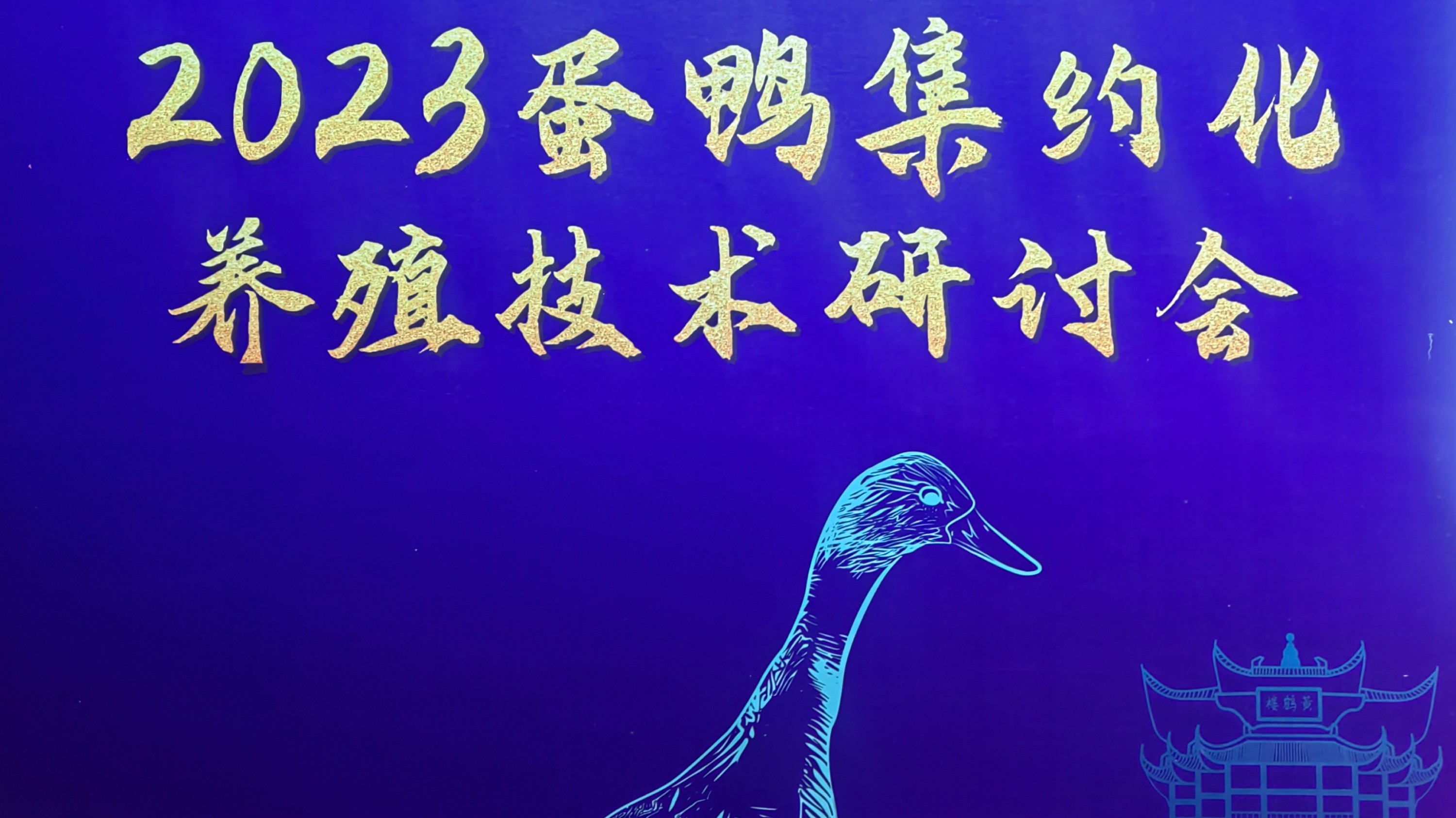 共謀蛋鴨養(yǎng)殖，助力產(chǎn)業(yè)升級(jí)！2023蛋鴨集約化養(yǎng)殖技術(shù)研討會(huì)在湖北武漢舉行