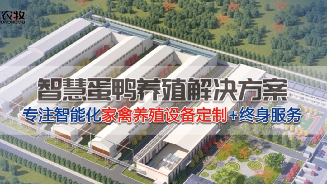 家禽糞污資源轉(zhuǎn)化為綠色能源的途徑剖析