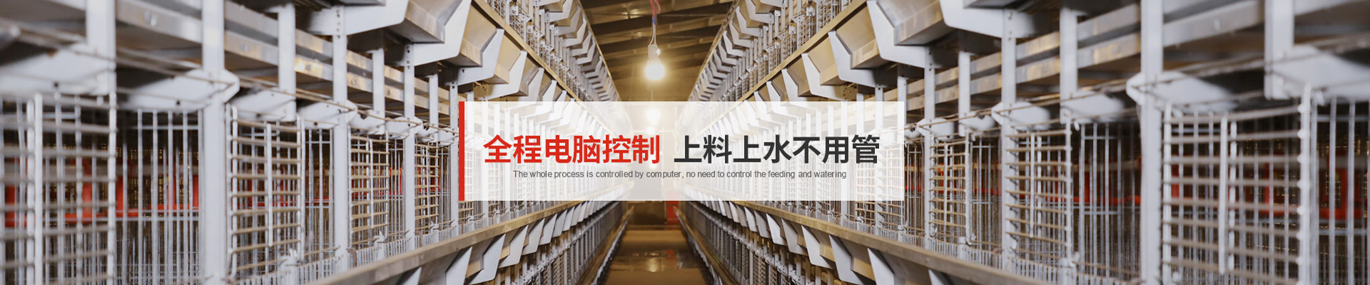 全程電腦控制，上料上水不用管