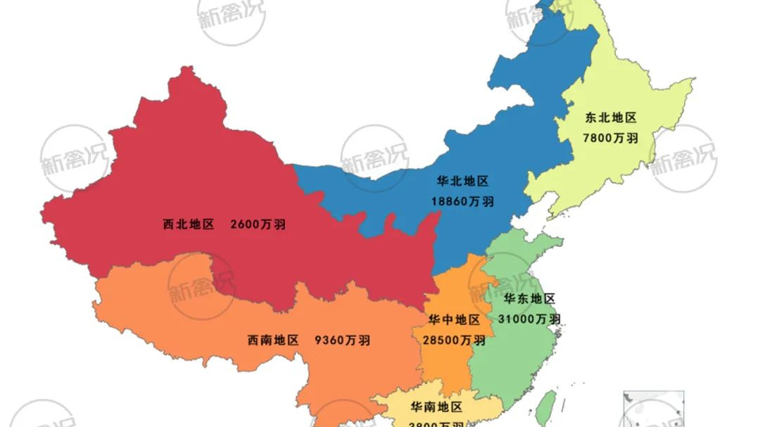 收藏！2023年我國(guó)蛋雞存欄分布地圖【數(shù)說禽事】